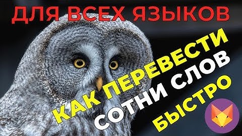 КАК ПЕРЕВЕСТИ НА ЛЮБОЙ ЯЗЫК СОТНИ СЛОВ ЗА ПАРУ СЕКУНД ?!