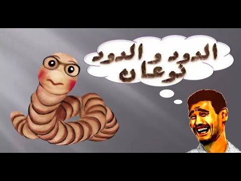 النكتة الشهيرة الدود والدود نوعان نكتة محترمة بالدارجة المغربية