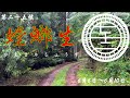 螳螂生
