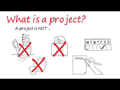 Vídeo: Què és la productivitat del projecte?