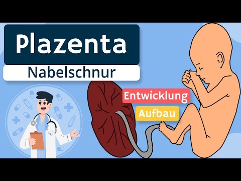 Video: Wo befindet sich gallertartiges Gewebe?