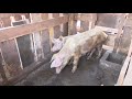 Visite du Ministre des Petites et Moyennes Entreprises à l'ONG ECOFARM
