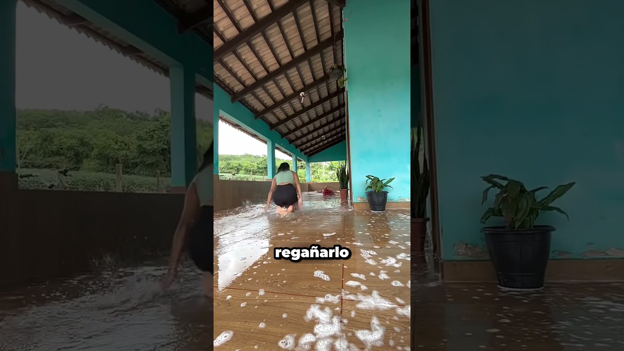 ¿Quién dijo que limpiar no puede ser divertido?