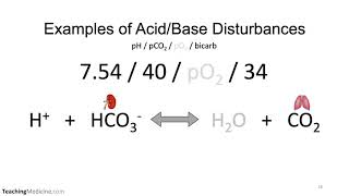 Approach to ABG Part 2 of 4