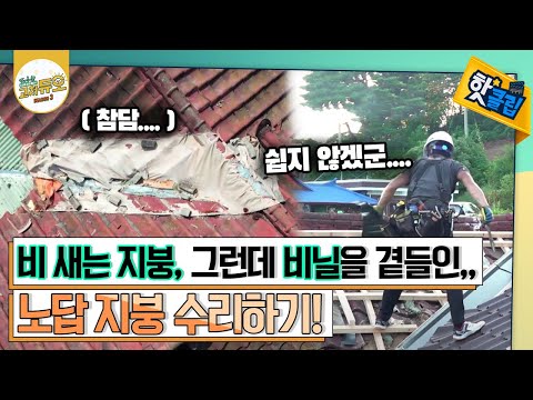 [핫클립] 비 새는 지붕, 그런데 <strong>비닐을</strong> 곁들인,,,노답 지붕 수리하기!🏠🛠