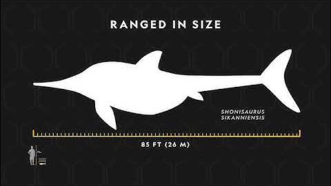 Unit 11 Ichthyosaurs (Reading Explorer 0/Foundation - 3rd Edition)