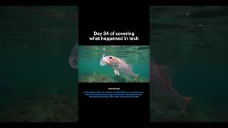 Meet Gillbert – the robotic fish on a mission to clean our waters! 🐟 #oceans #fish #technology