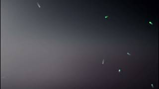 Bhimacha Killa Unique P Sound