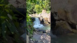 📌 Harengajao Waterfall Part 1 #minivlog #harengajaowaterfall #silcharvlog #trekking