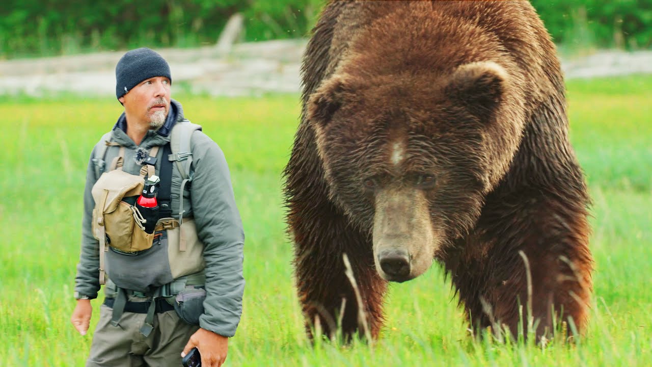 Лицом к лицу с самым большим медведем Аляски!