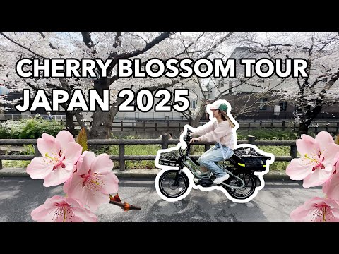 Cherry Blossom Japan Bike Tour 2025