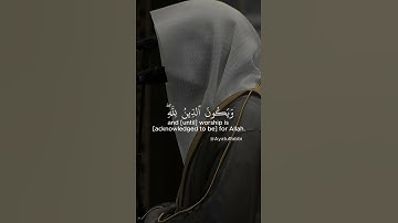 تلاوة رائعة و قصيرة | بصوت الشيخ المشاري العفاسي