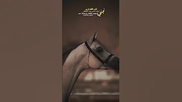 نادر الشراري ونبني احلام العمر بعد الشقاق تصميمي اكسبلور صدمة عمر نادر الشراري 