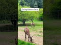 Drumeție Valea Avrigului.