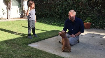 Using Counterconditioning to Stop Moose From Chasing the Neighbor