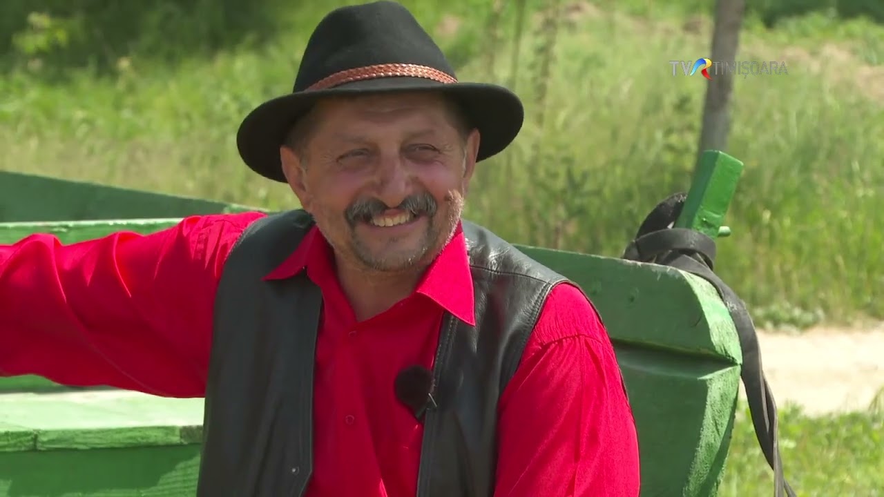 Sarmale parade sau sarmale sparte și tocană de ied la ceaun #SareaInBucate