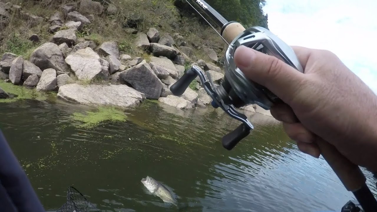 秋の高山ダム上流域でビッグフィッシュハンティング！　2025年11月11日