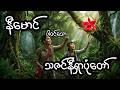 သဇင်နီရှာပုံတော် - စဆုံး