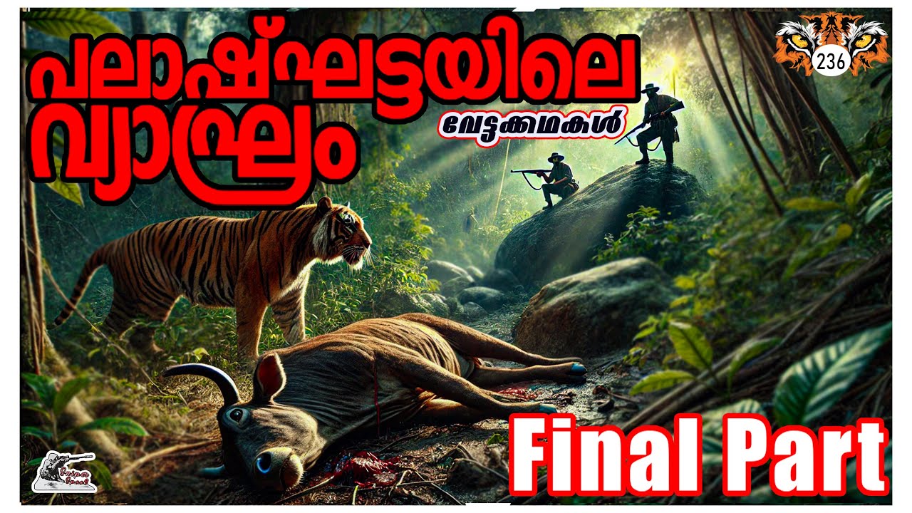 പലാഷ്ഘട്ടയിലെ വ്യാഘ്രം 2  | Deadly Tiger Unleashed! | വേട്ടക്കഥകള്‍ | Last Part #sniperspool