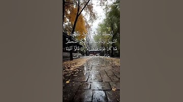 سورة العنكبوت من  آية 29 إلى آية 31 بصوت الشيخ ياسر الدوسري♥♥