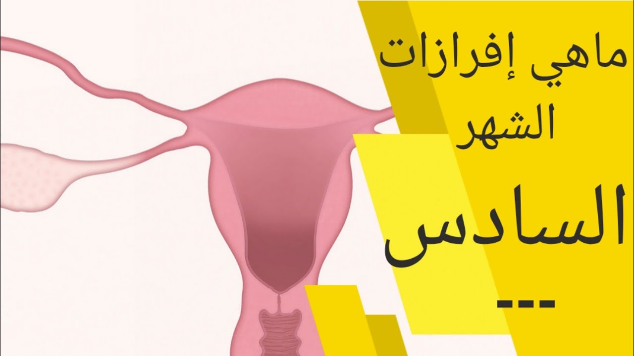 افرازات الحمل في الشهر السادس نزول إفرازات بيضاء او حمراء او بنيه او صفراء في الشهر السادس للحمل Youtube
