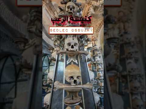 سيدليك  كنيسة مبنية بعظام بشرية    