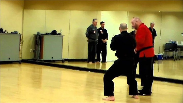 Jason Baran kenpo freestyle