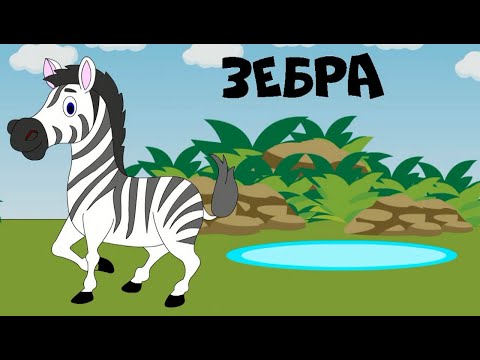 Мультик про животных в зоопарке для малышей