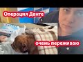 VLOG СДЕЛАЛИ ОПЕРАЦИЮ ДАНТЕ