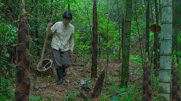 How could spring be without bamboo shoots? Let