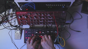 0x1602 subharmonicon day 4 | #jamuary2022 jam02 rhythm soundscape | subharmonicon + neutron + po-32