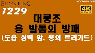 엘든링 #1229 대룡조, 용 발톱의 방패 (도읍 성벽 앞, 용의 트리가드)
