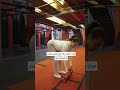 HAMSTRINGS WITH COACH KARLLA | UFC #shorts