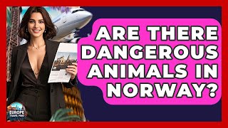 Are There Dangerous Animals In Norway? - Europe Travel Pros