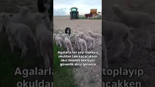 Agalar fail#friends #friendship #memes #funny #eğlence #keşfetteyiz #keşfet