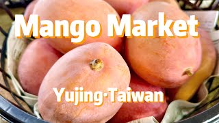 Exploring Yujing’s Mango Market | Taiwan travel vlog