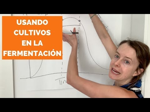 backslopping-2.0---un-principio-de-la-fermentación
