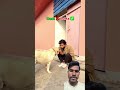 Dost kutta😂🐕🦴#ytshorts #youtubeshorts #shortsfeed #shorts