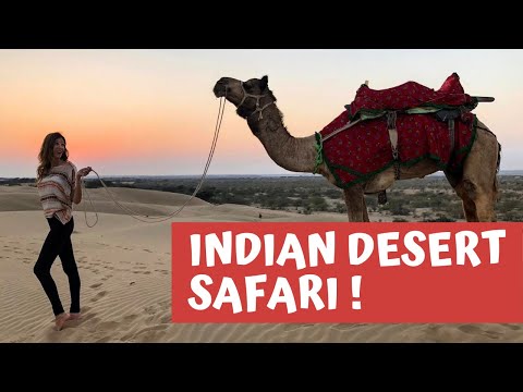 INDIAN DESERT SAFARI!🐪🌵JAISALMER, INDIA TRAVEL VLOG