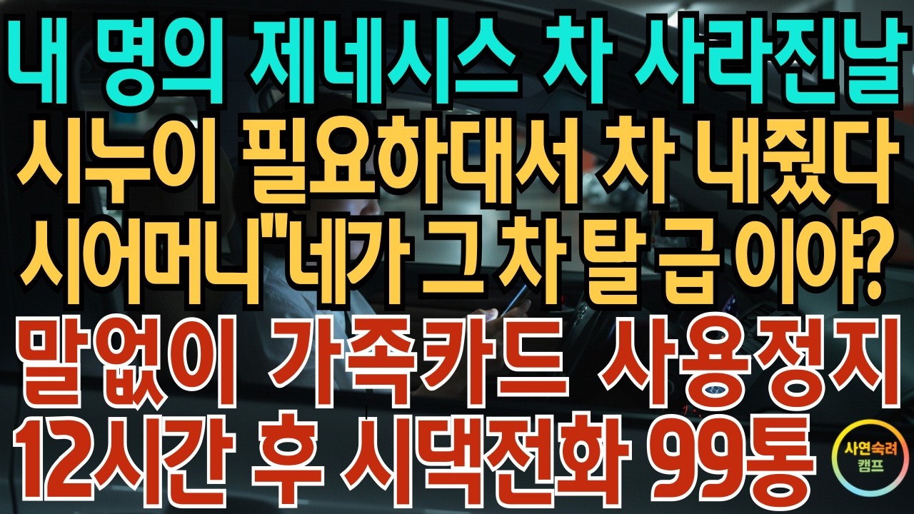 내 명의 제네시스 차키 사라진 날 시누이 필요하대서 차 내줬다 시어머니 