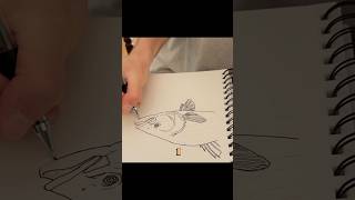 Drawing Fish for 30 Days Straight 🐠 Day 13 #art #fishart #drawing #sketch #artist #artwork
