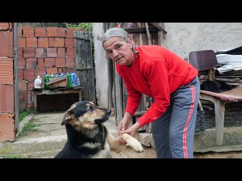 Video: Tko je sjena u kdrami lutalica?