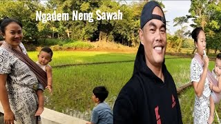 Enjoy The Peaceful Afternoon In The Still Pristine Pinggir Sawah Village  Agra Satrio Maneges