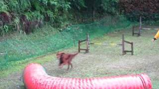 20100628-02.avi