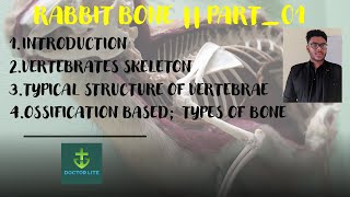 RABBIT BONE _ PART_01 || INTRODUCTION || MBBS