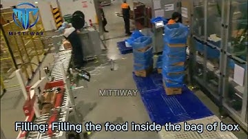 Bag inserting machine Robot loading case packer for food packaging solution poly bag inserter