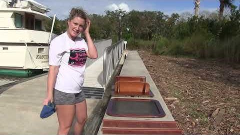 Too Much to Handle! - Lazy Gecko VLOG 41