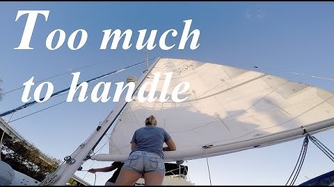 Too Much to Handle! - Lazy Gecko VLOG 41