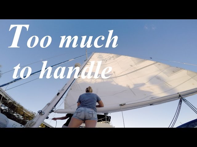 Too Much to Handle! – Lazy Gecko VLOG 41