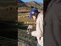 ブラジャーの聖地!?